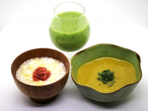 高齢者食・介護食スタイル